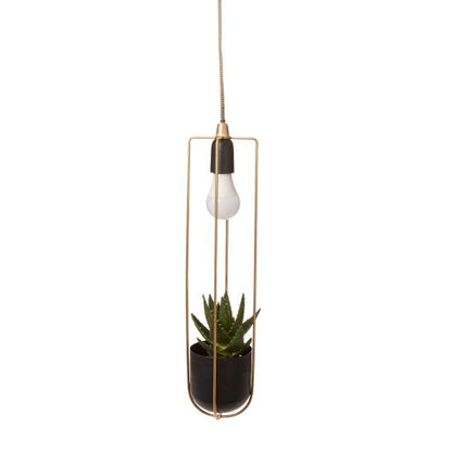 Kol Acrobatic Hanging Planter with Spot Light By Accent Decor | Planters, Troughs & Cachepots | Modishstore - 3