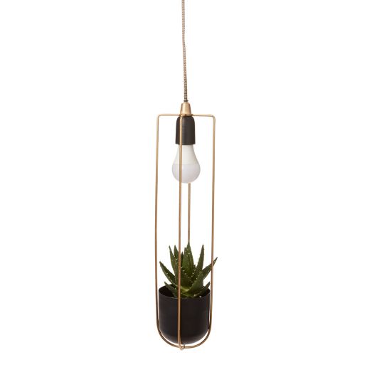 hanging light planter Kol Hanging Planter 4.25" x 21.25"