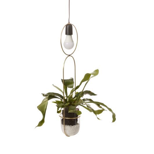 Kol Acrobatic Hanging Planter with Spot Light By Accent Decor | Planters, Troughs & Cachepots | Modishstore - 6