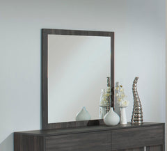 Vig Furniture Moderst Luca Italian Modern Grey Mirror