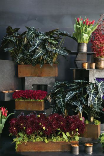 Galveston Distressed Metal Rectangular Planter Set Of 4 By Accent Decor | Planters, Troughs & Cachepots | Modishstore - 9