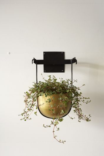 Benton Hanging/ Wall Planter Set Of 4 By Accent Decor | Planters, Troughs & Cachepots | Modishstore - 4