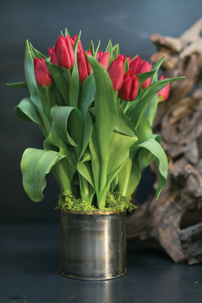 Norman Collection Set Of 4 By Accent Decor | Planters, Troughs & Cachepots | Modishstore - 1