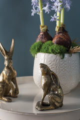 Bea Bunny Set Of 2 By Accent Decor
