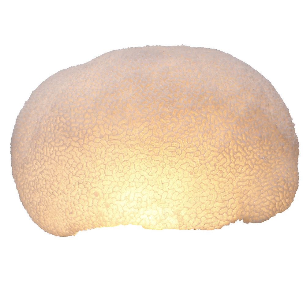 A&B Home Ctenella Coral LED Shade Accent | Candle Holders | Modishstore