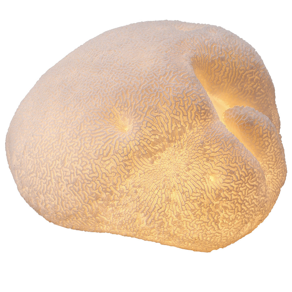 A&B Home Ctenella Coral LED Shade Accent | Candle Holders | Modishstore - 2