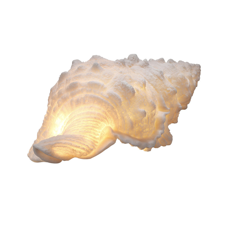 A&B Home Murex Shell LED Shade Accent | Candle Holders | Modishstore