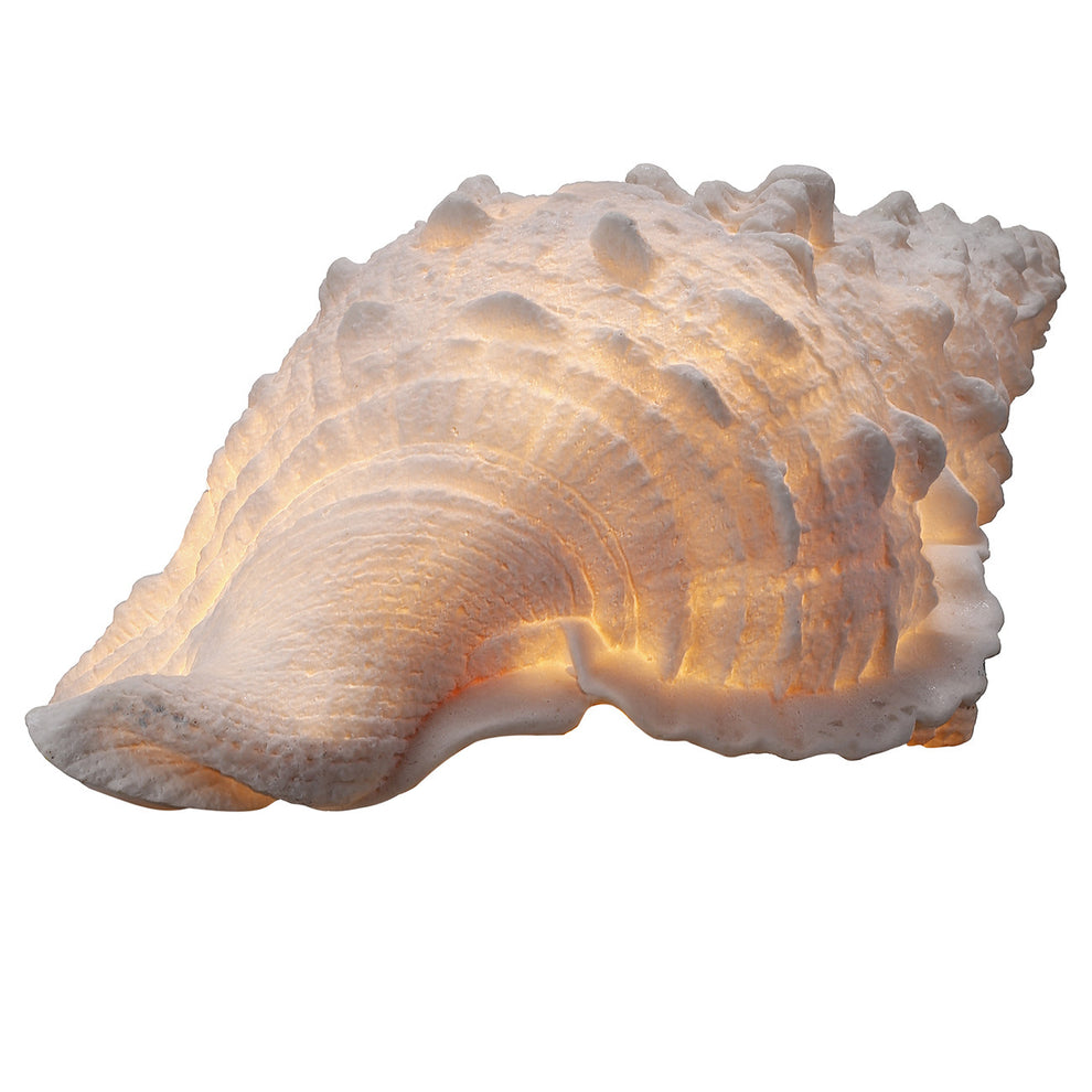 A&B Home Murex Shell LED Shade Accent | Candle Holders | Modishstore - 2