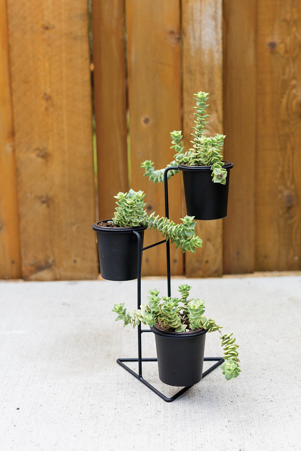 Donahue Plant Stand Set Of 2 By Accent Decor | Planters, Troughs & Cachepots | Modishstore - 3
