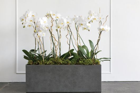 Tower Planter By Accent Decor | Planters, Troughs & Cachepots | Modishstore - 7