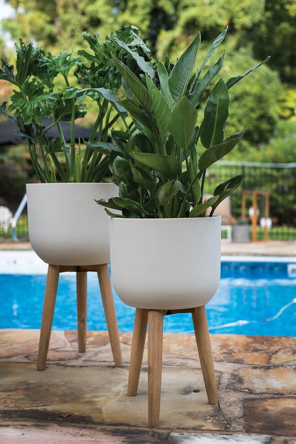Landis Plant Stand By Accent Decor | Outdoor Planters, Troughs & Cachepots | Modishstore - 1