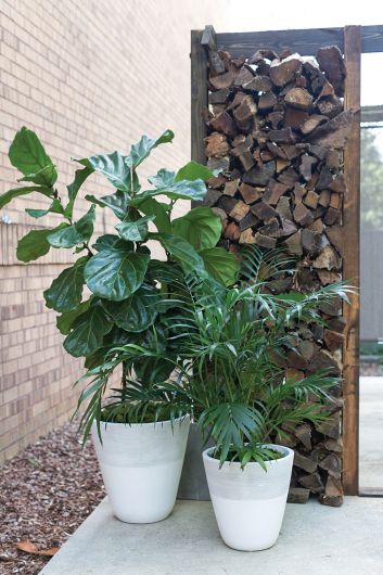 Lifestyle Planter By Accent Decor | Outdoor Planters, Troughs & Cachepots | Modishstore - 1