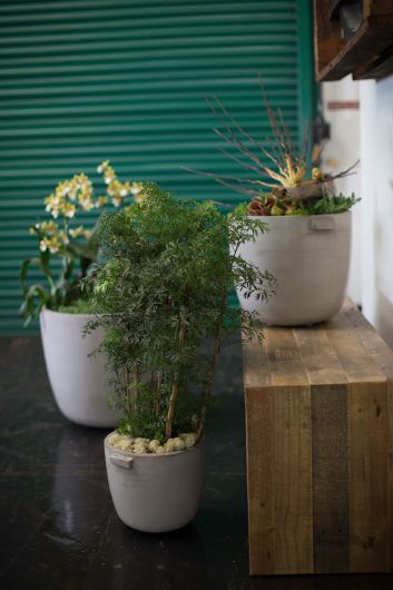 Dim Natural Grey Concrete Planter Pot By Accent Decor- 3 sizes | Planters, Troughs & Cachepots | Modishstore - 3