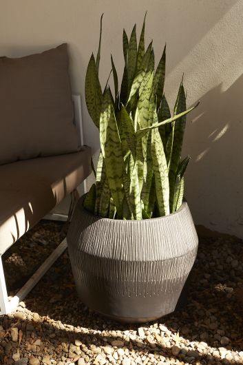 Jeva Collection By Accent Decor | Planters, Troughs & Cachepots | Modishstore - 2