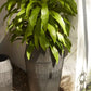 Jeva Collection Planter By Accent Decor | Outdoor Planters, Troughs & Cachepots | Modishstore - 7