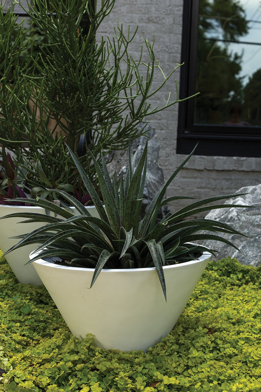 Lindi Polyfiber Pot By Accent Decor - Black/White - 2 Sizes | Planters, Troughs & Cachepots | Modishstore - 1