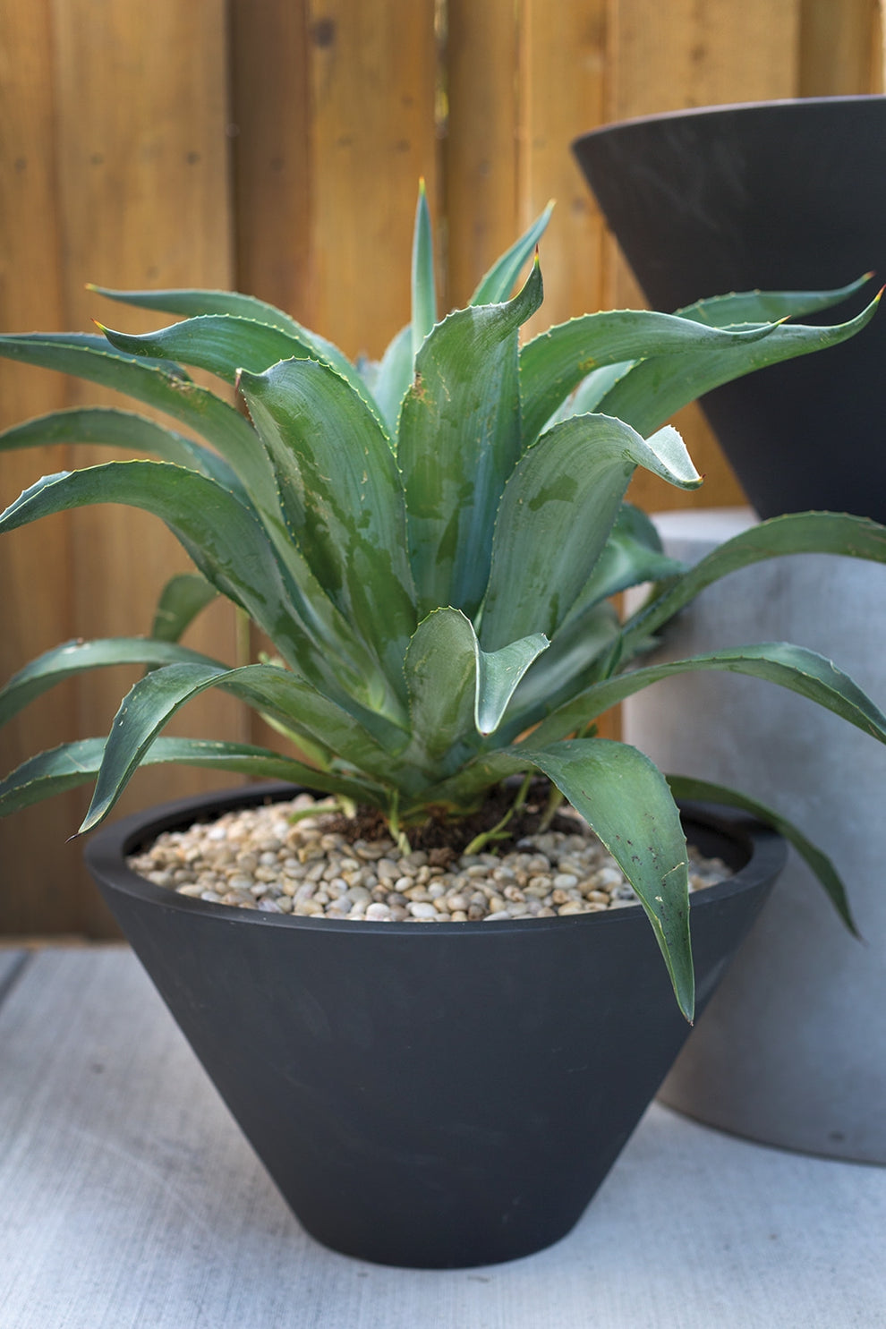 Lindi Polyfiber Pot By Accent Decor - Black/White - 2 Sizes | Planters, Troughs & Cachepots | Modishstore - 4