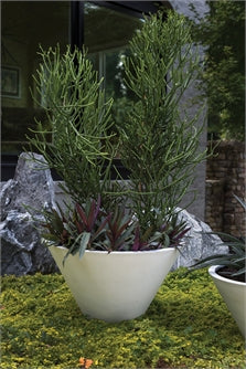 Lindi Polyfiber Pot By Accent Decor - Black/White - 2 Sizes | Planters, Troughs & Cachepots | Modishstore - 6