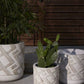 Candler White Ceramic Textured Planter By Accent Decor- 2 Sizes | Planters, Troughs & Cachepots | Modishstore - 1