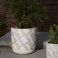 Candler White Ceramic Textured Planter By Accent Decor- 2 Sizes | Planters, Troughs & Cachepots | Modishstore - 5