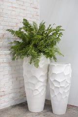 Grand Vela By Accent Decor
