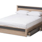 baxton studio jamie modern and contemporary two tone oak and grey wood queen size platform bed | Modish Furniture Store-3