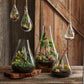 Boboli Terrarium by Texture Designideas | Glass Terrariums | Modishstore-2