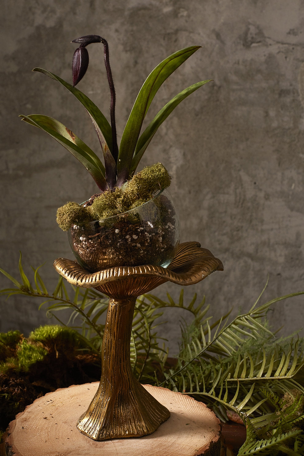 Lichen Planter Stand + Glass Bowl- Set Of 4 By Accent Decor | Planters, Troughs & Cachepots | Modishstore - 3