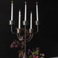 Talliston 5 Candle Pewter Finish Candelabra By Accent Decor | Candle Holders | Modishstore - 1