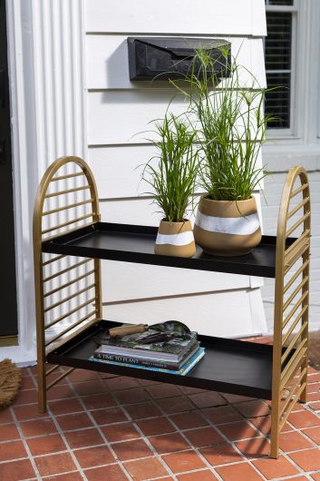Draco Collection Plant Stand By Accent Decor | Side Tables | Modishstore