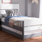 Baxton Studio Nereida Modern Classic Mission Style White and Dark Grey-Finished Wood Twin Platform Bed | Beds | Modishstore - 3