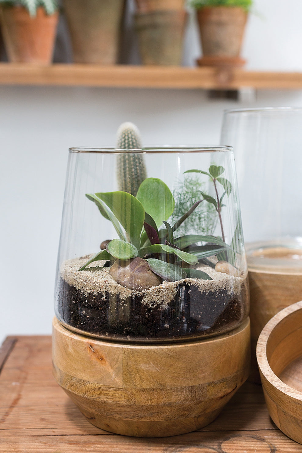 Farmhouse Terrarium By Accent Decor | Glass Terrariums | Modishstore - 1