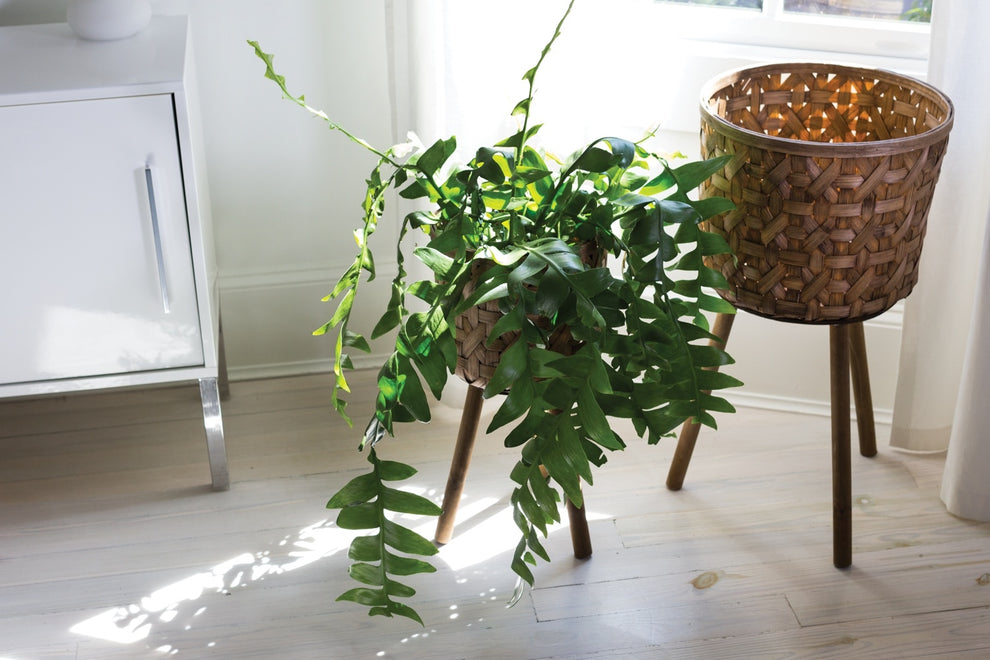 Bam Basket By Accent Decor | Planters, Troughs & Cachepots | Modishstore - 2