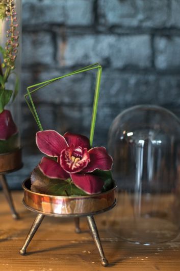 Historic Glass & Golden Cloche Stand/ Terrarium -By Accent Decor | Glass Terrariums | Modishstore - 2