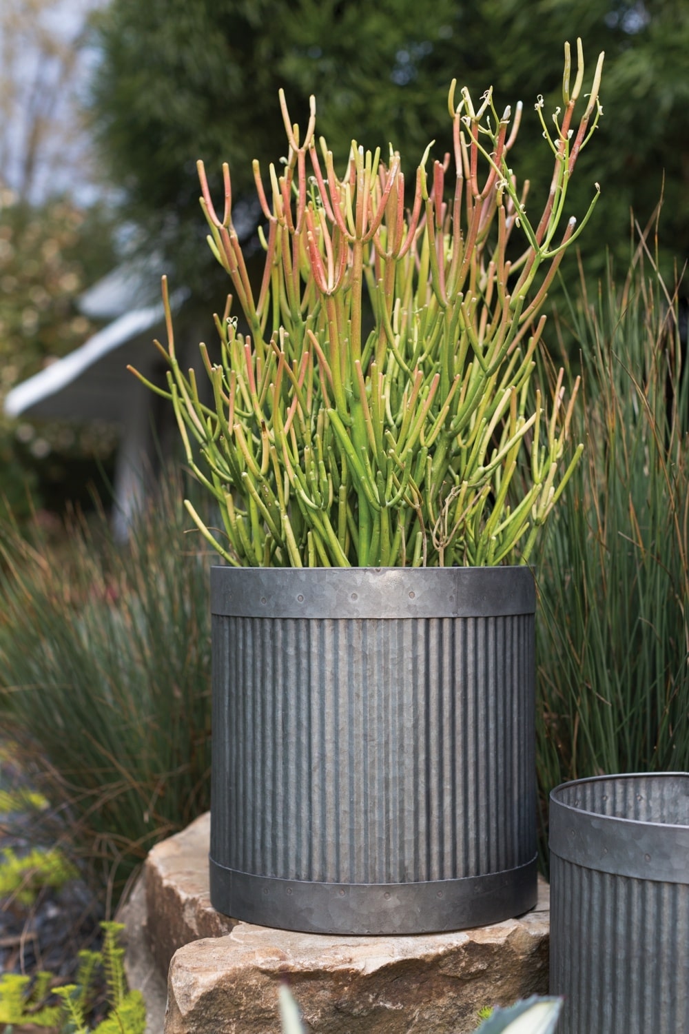 Derby Collection Pot Set of 4 By Accent Secor | Outdoor Planters, Troughs & Cachepots | Modishstore - 4
