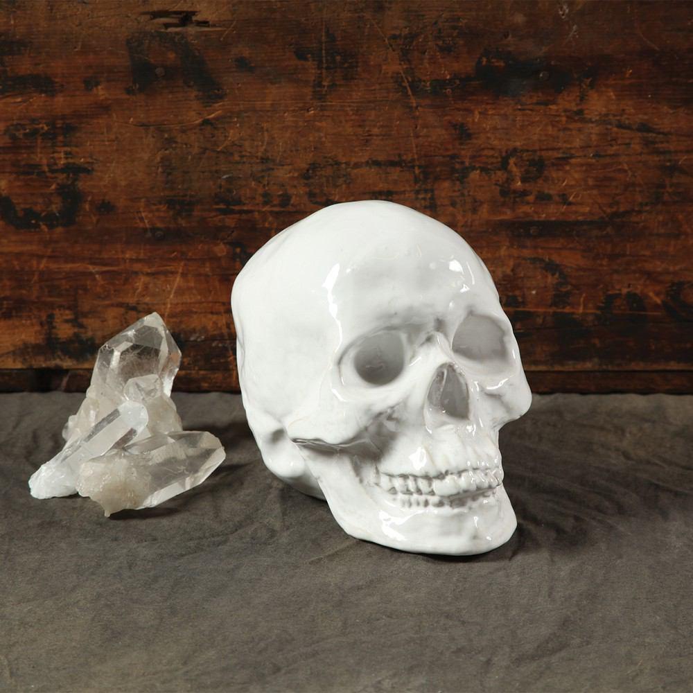 HomArt Ceramic Skull - White - Set of 4 - Feature Image | Modishstore | Figurines