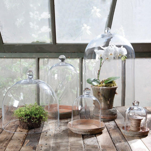 HomArt Glass Dome - Mini - Clear - Set of 4 - Feature Image | Modishstore | Glass Terrariums