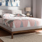 Baxton Studio Louvain Modern and Contemporary Greyish Beige Fabric Upholstered Walnut-Finished Queen Sized Platform Bed | Modishstore | Beds
