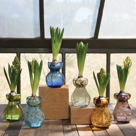 HomArt Bulb Vase - Recycled - Set of 6 | Modishstore | Vases