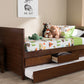 Baxton Studio Linna Modern and Contemporary Walnut Brown-Finished Daybed with Trundle | Modishstore | Daybeds