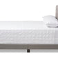 baxton studio vivienne modern and contemporary light grey fabric upholstered queen size bed | Modish Furniture Store-3