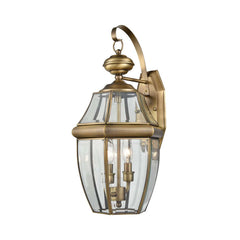 Ashford 2-Light Coach Lantern in Antique Brass - Medium