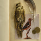 HomArt Still Bird Brass Paperweight - Antique Brass - Feature Image | Modishstore | Office Accessories
