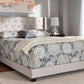 Baxton Studio Brady Modern and Contemporary Beige Fabric Upholstered Queen Size Bed | Modishstore | Beds