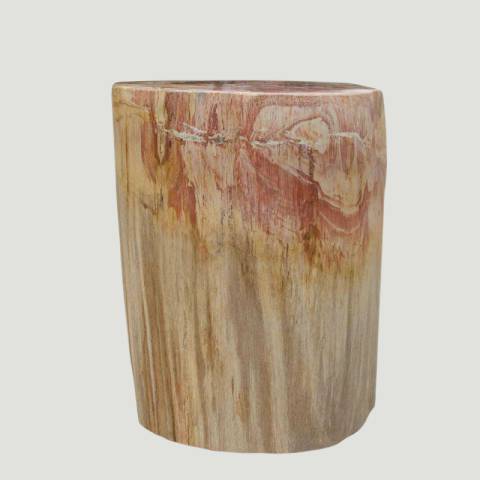 Petrified Wood Log Stool 13"x 9"x 18"H -PFST0673/19 | ModishStore | Petrified Wood Stools