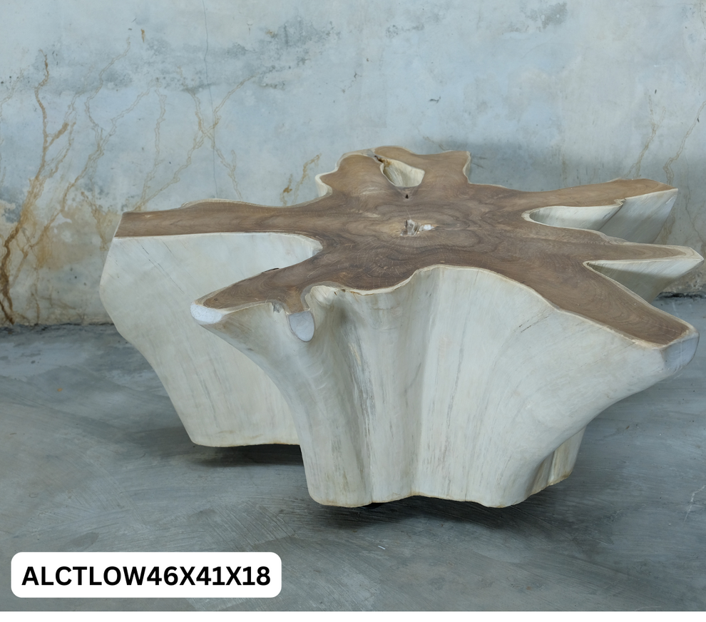 Antique Teak Thick Slab Coffee Table- 2 Variants- by Artisan Living | Coffee Tables | Modishstore-