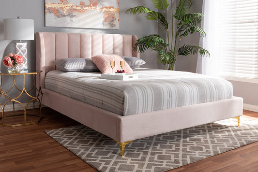 Baxton Studio Saverio Glam and Luxe Light Pink Velvet Fabric Upholstered Queen Size Platform Bed with Gold-Tone Legs | Modishstore | Beds