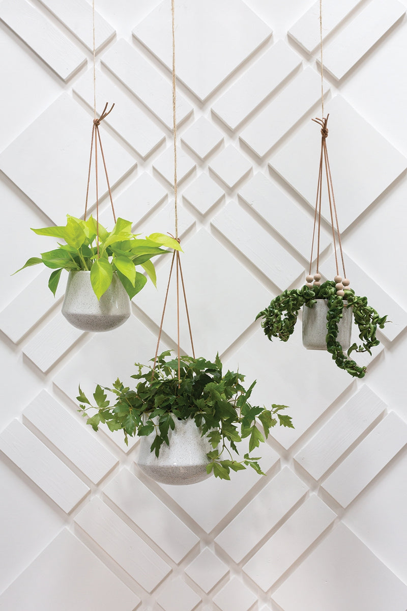 Kenzie Hanging Pot Set Of 4 By Accent Decor | Planters, Troughs & Cachepots | Modishstore - 1