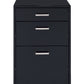 Coleen File Cabinet By Acme Furniture | Cabinets | Modishstore - 4