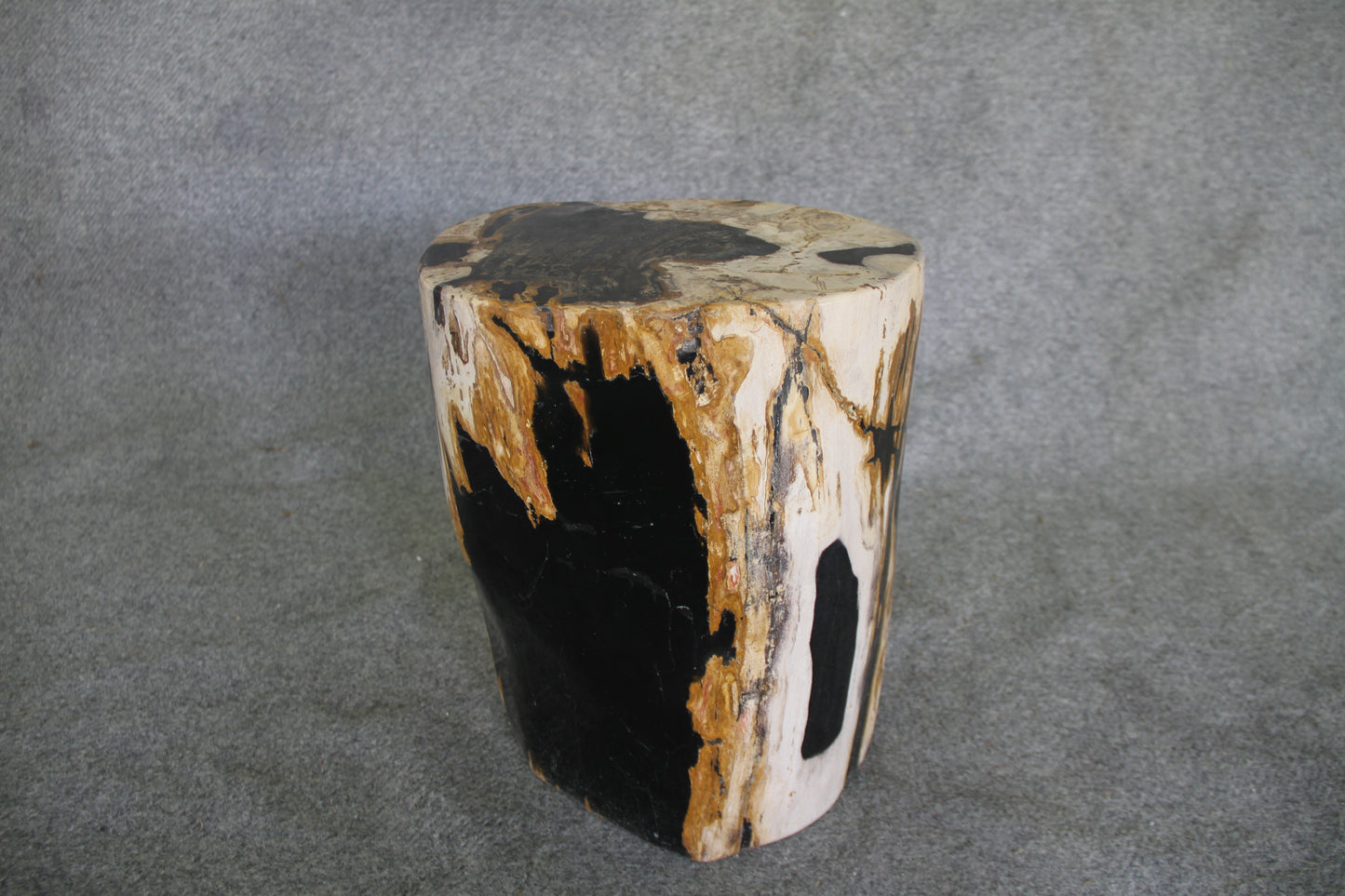 Petrified Wood Log Stool 16in (h) x 12in x 10in - 930.22 | Petrified Wood Stools | Modishstore-5